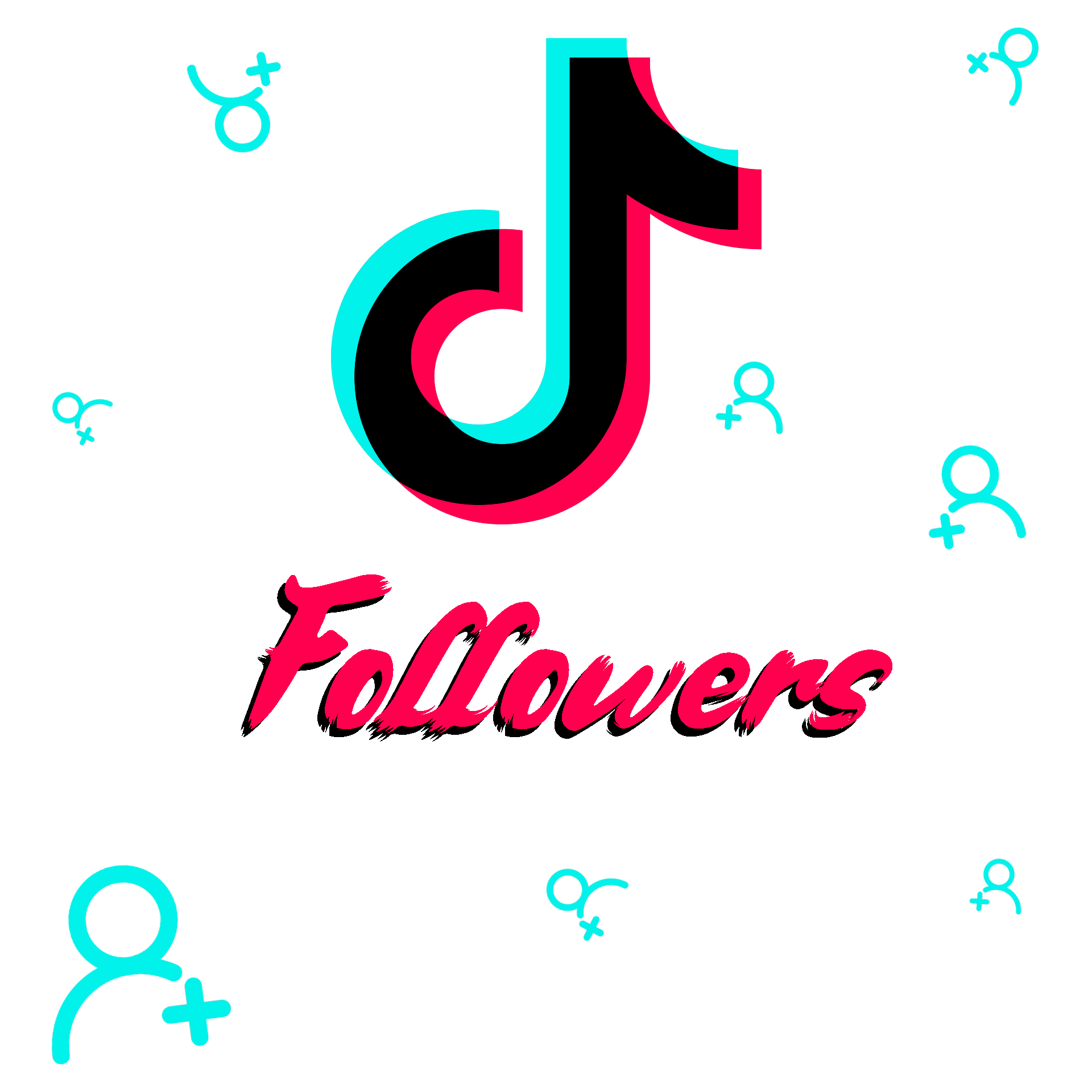 TikTok Followers - SocialWizard ✨